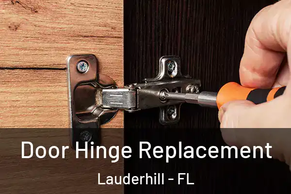 Door Hinge Replacement Lauderhill - FL